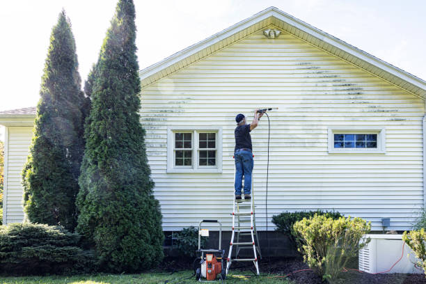 Best Exterior Home Cleaning  in Fox Crossing, WI